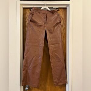 Aritzia Babaton Leather Pants